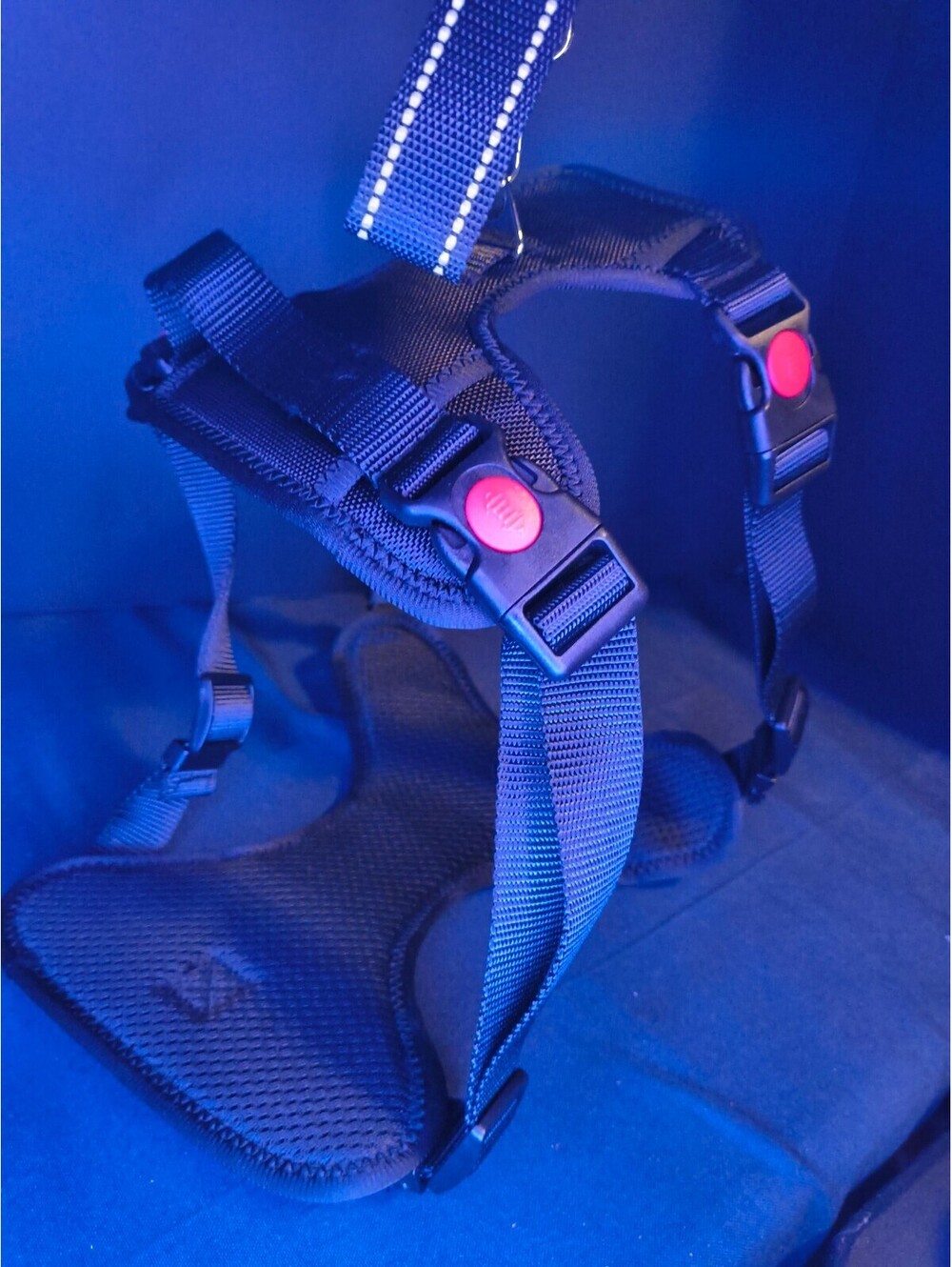 Dog harness with leg brace